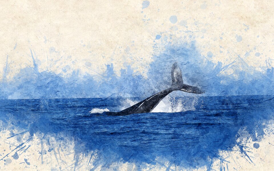 Whale watercolor sea
