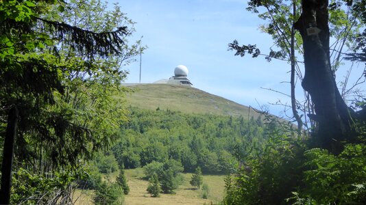 A view of the forest vosges france