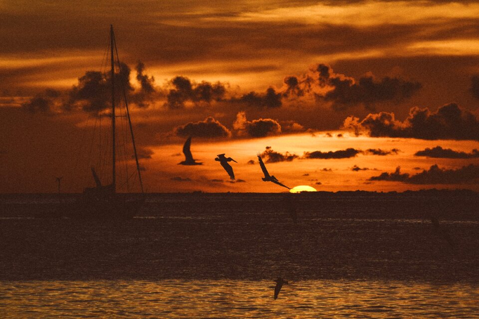 Waves nature sunset