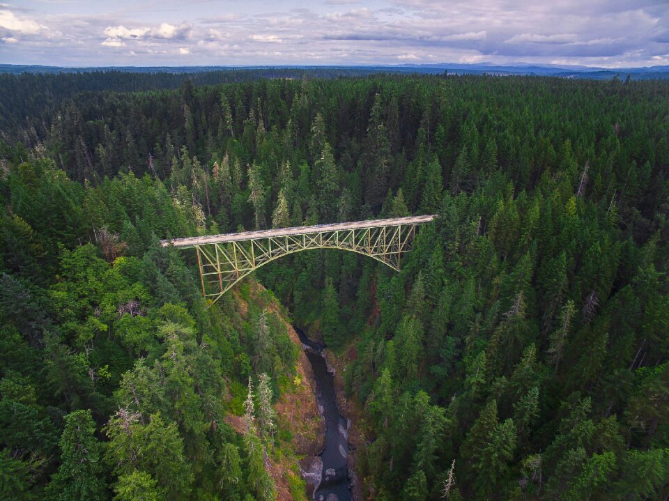 Nature bridge architecture