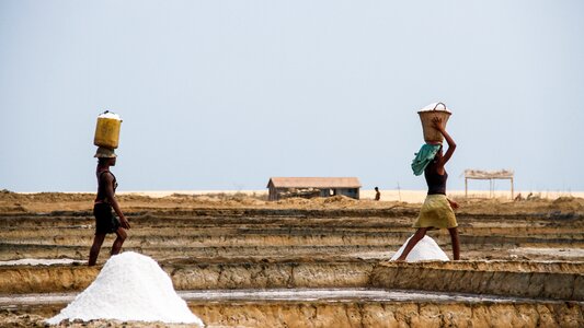 Landscape woman work