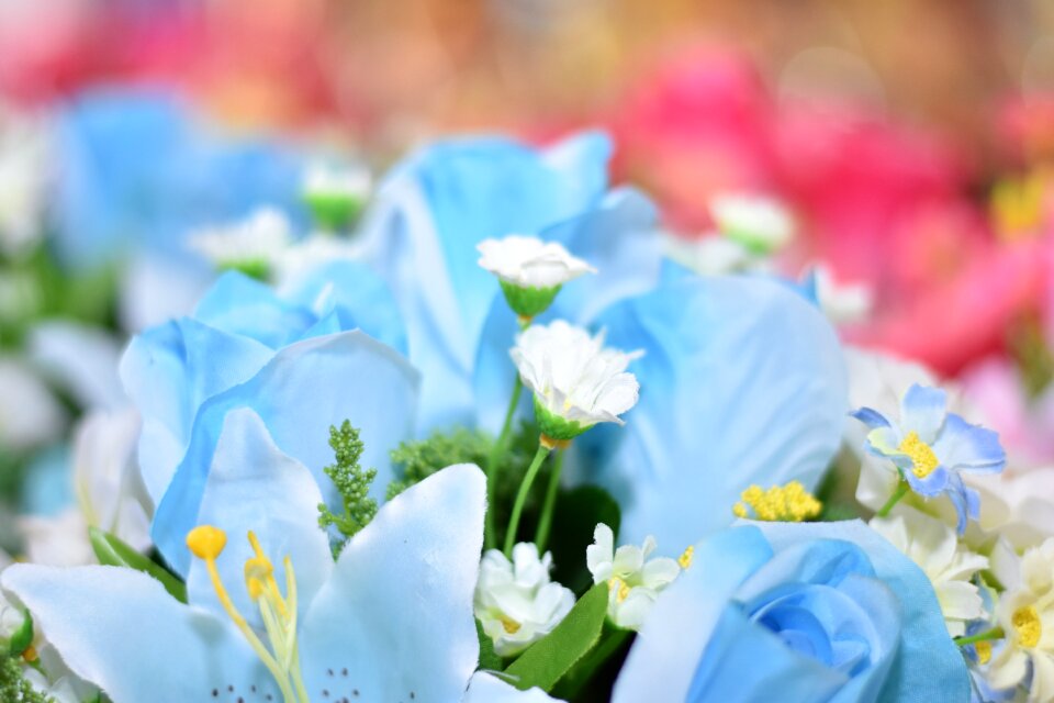 Spring blooming summe