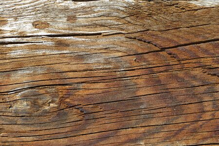 Pattern timber brown