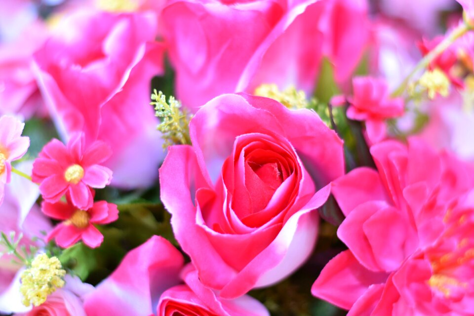 Spring blooming summe