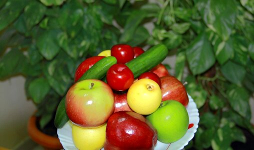 Colorful organic testy