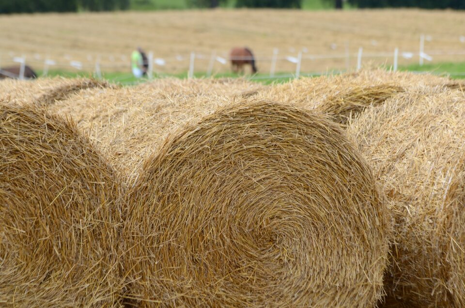 Round fields agriculture