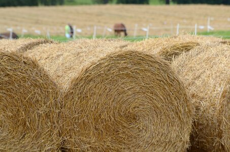 Round fields agriculture