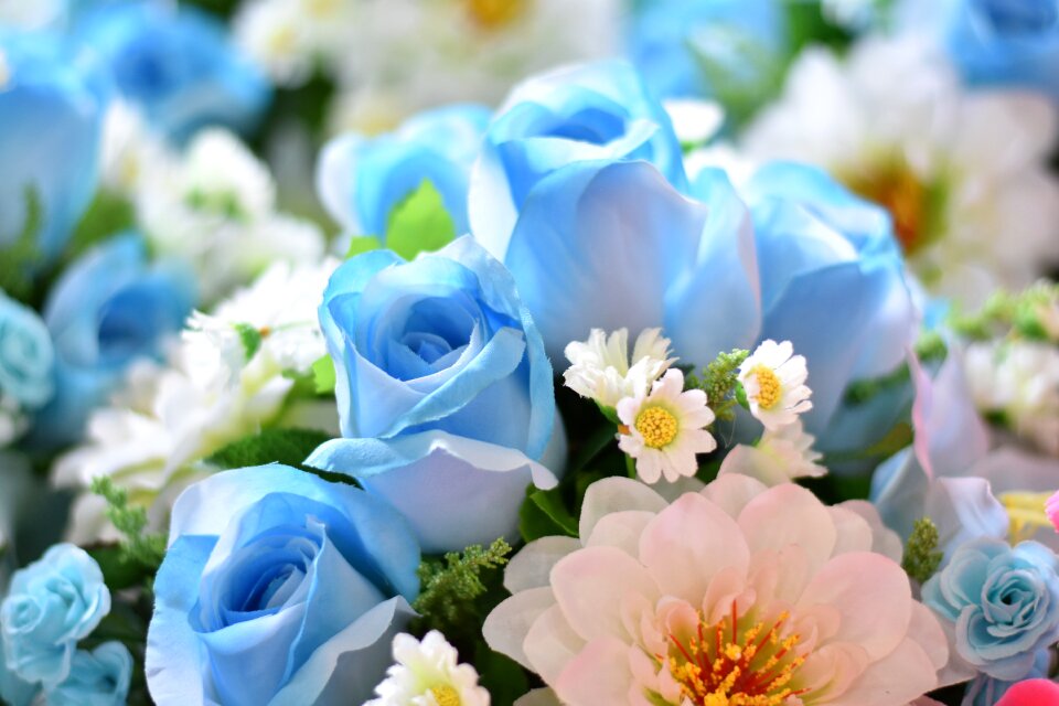 Spring blooming summe