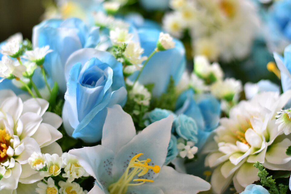 Spring blooming summe