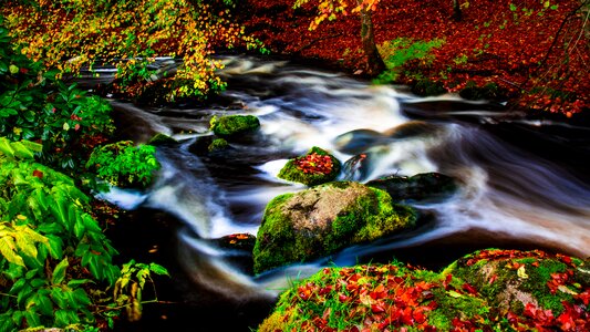 Leaf river outdoor