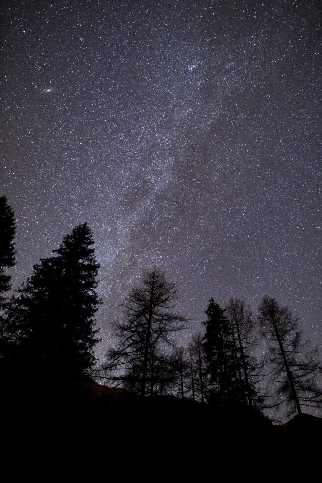 Constellation nature astrophotography