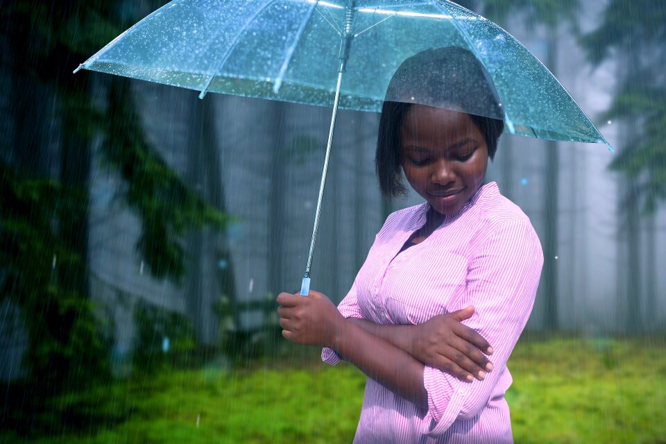 Rain summer forest