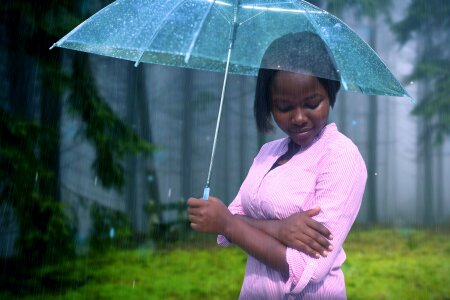 Rain summer forest