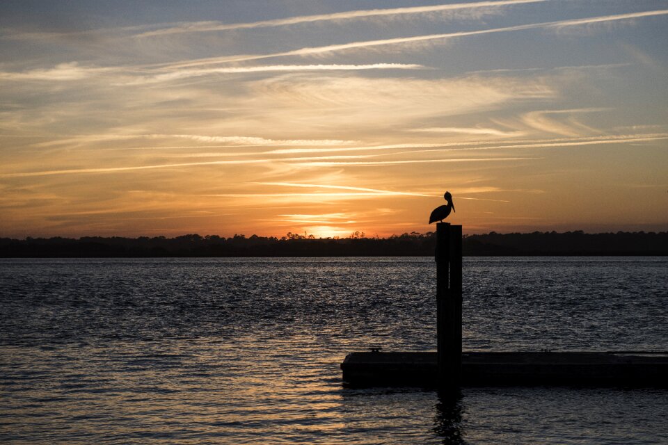 Dawn sea silhouetted