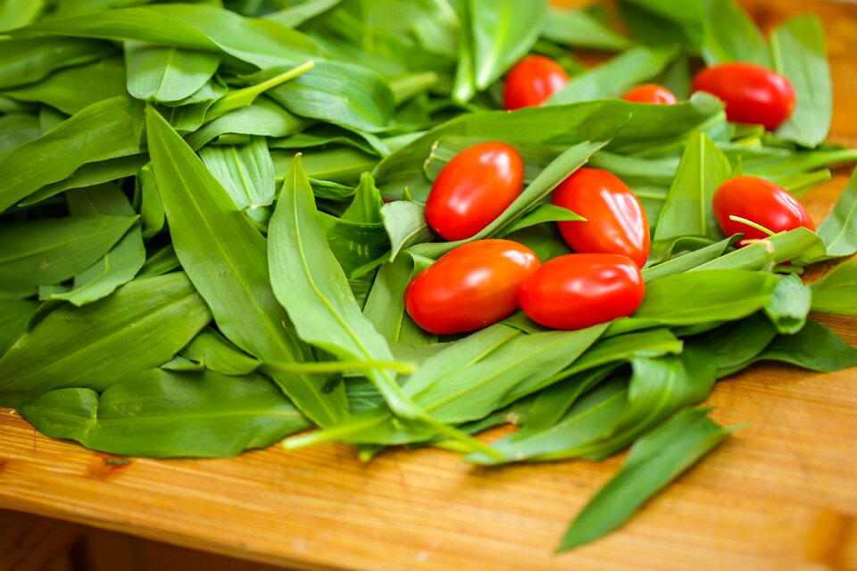 Vegetables leaf fresh