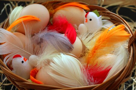 Pen eggs colorful