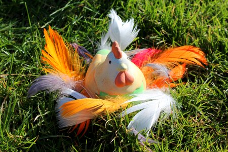 Decoration nature lawn
