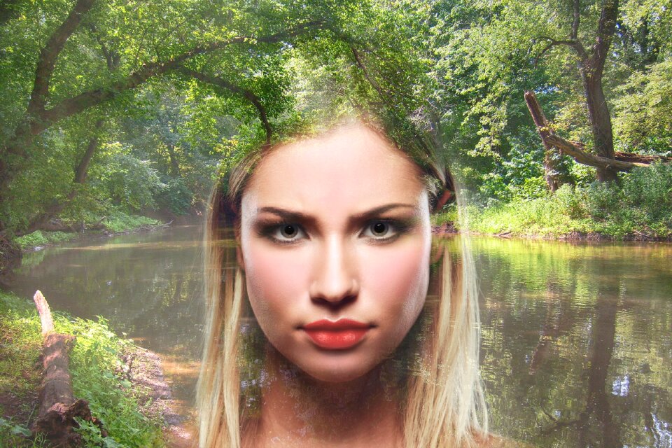 Magic magical forest