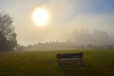 Bench park misty