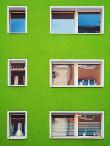 Green wall facade photo