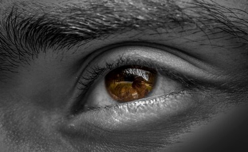 Eyes eyeball eyebrow