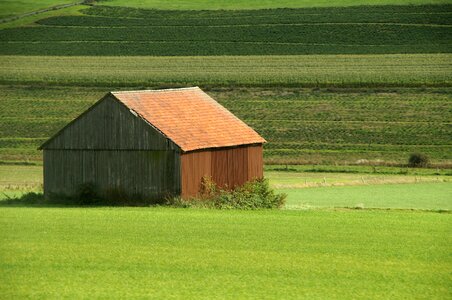 Field agriculture green