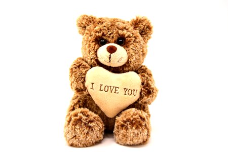 Greeting card soft toy heart