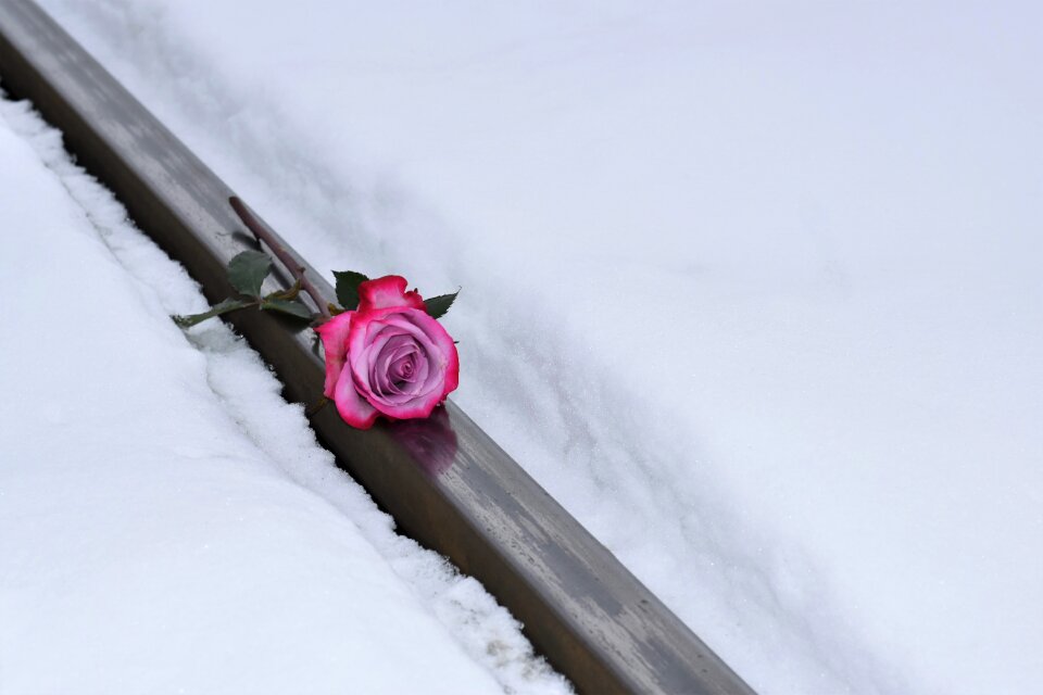 Snowy snow romantic