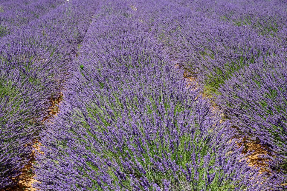 France vacations south