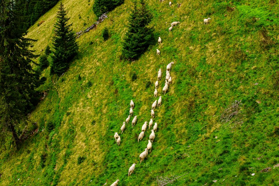 Switzerland travel scenery