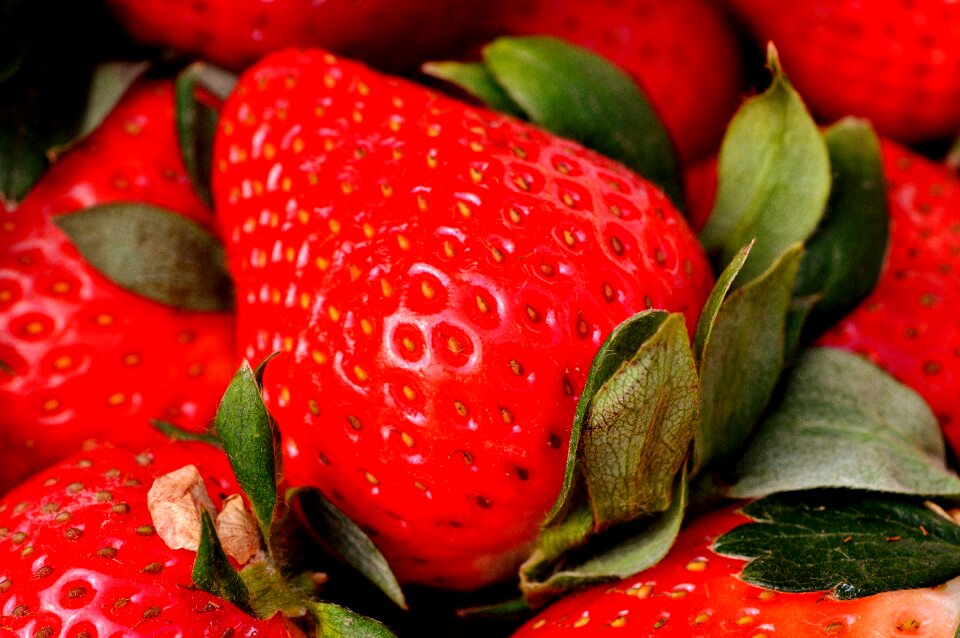 Food fruits sweet