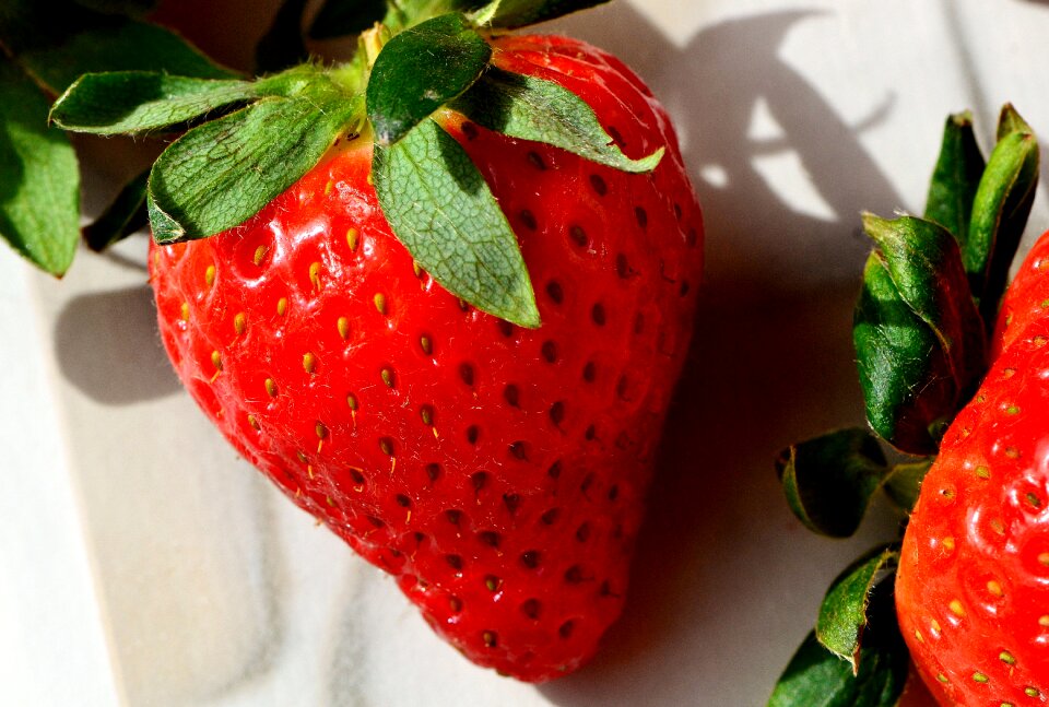 Food fruits sweet