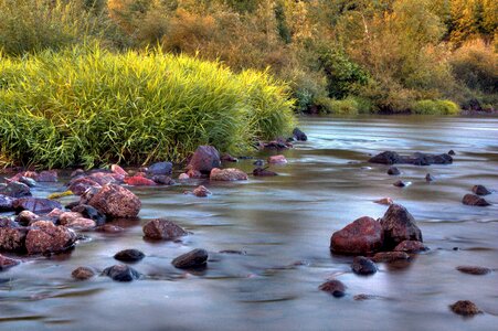 Nature france authentic photo