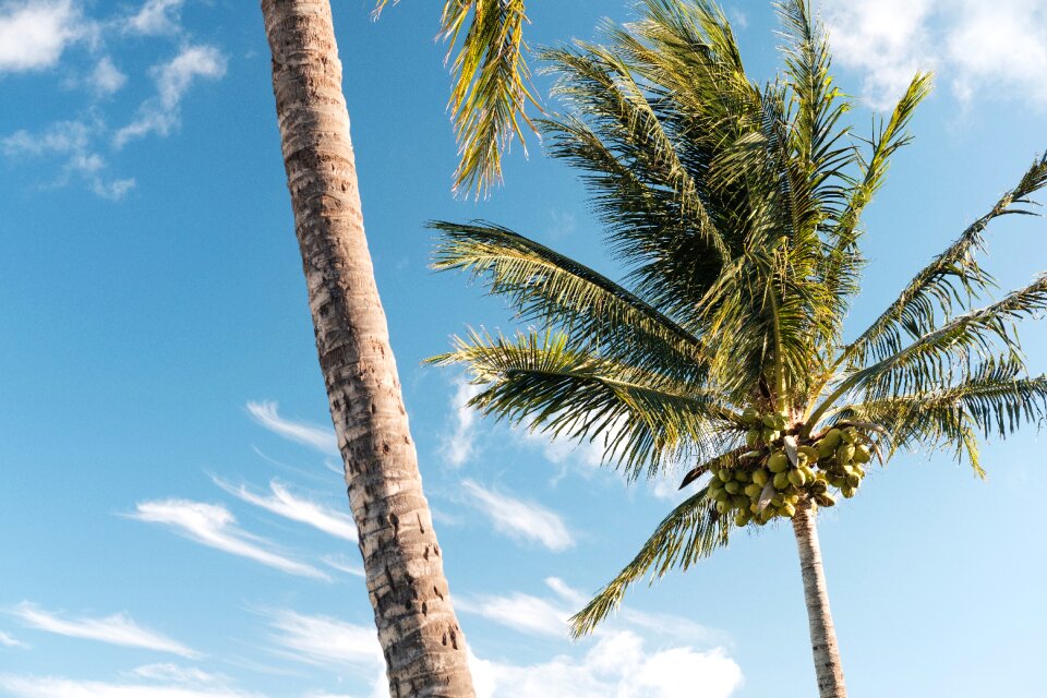 Summer blue sky
