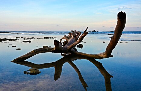Sea landscape is