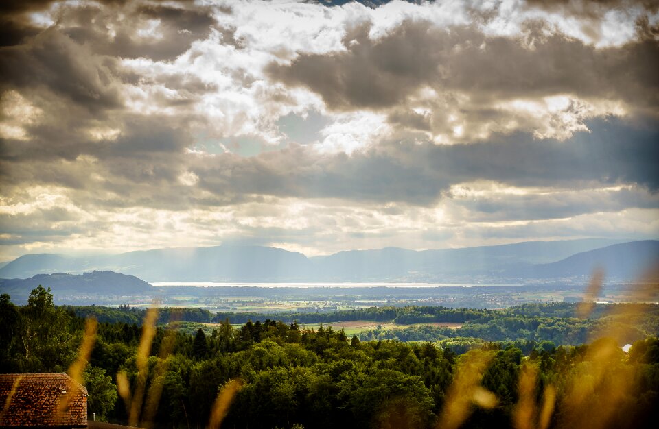 Frieswil bern switzerland