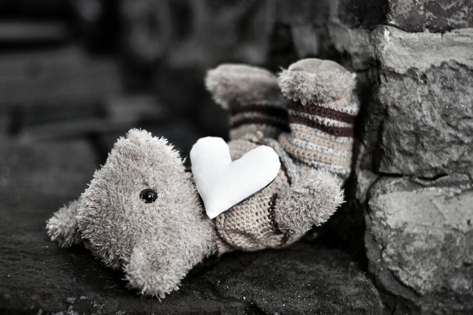 Stuffed animal bear toys