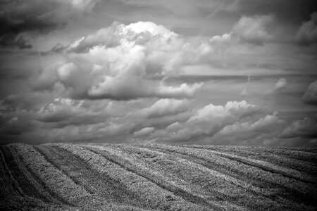 Fields nature agriculture