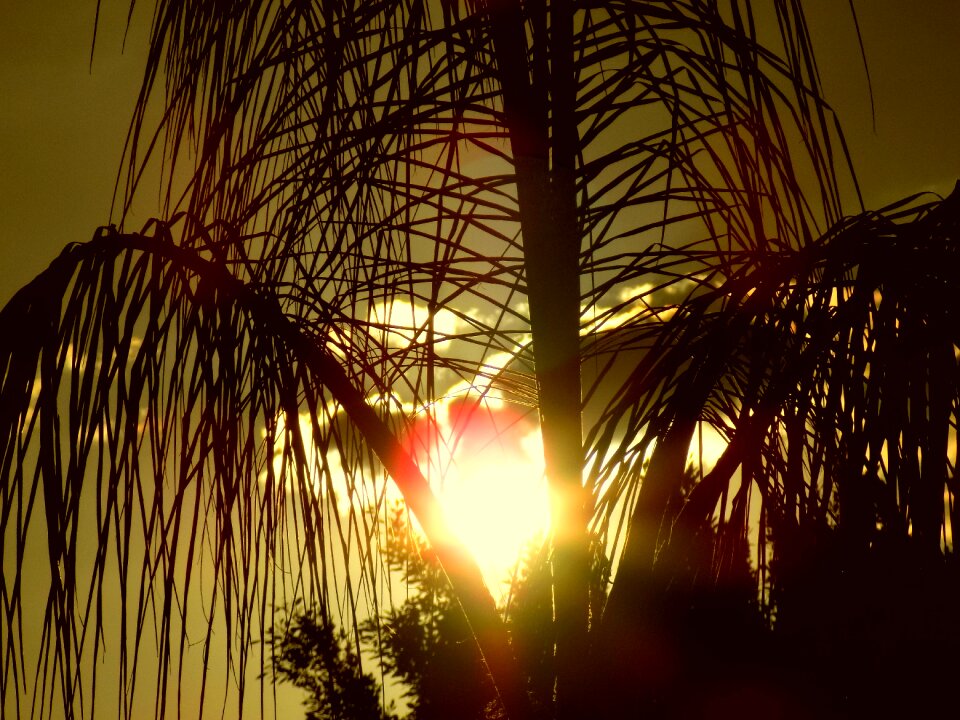 Dusk landscape nature