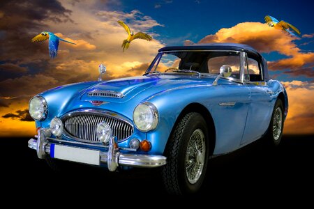 Austin austin healey convertible