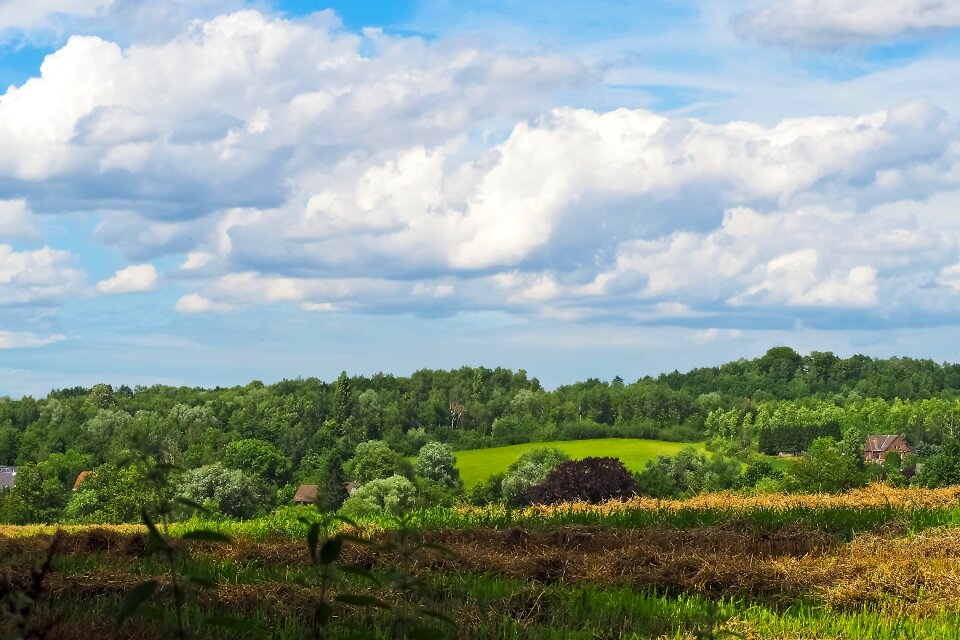 Agriculture meadow clouds photo