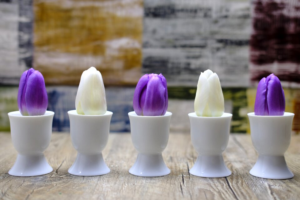 Egg cups easter violet
