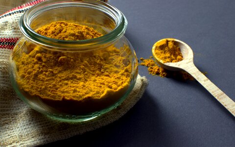 Food spice condiment