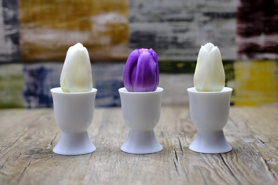 Egg cups easter violet