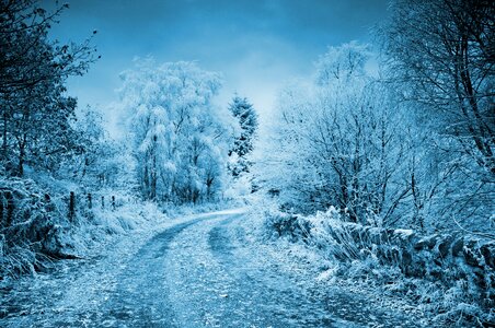 Cold frozen background photo