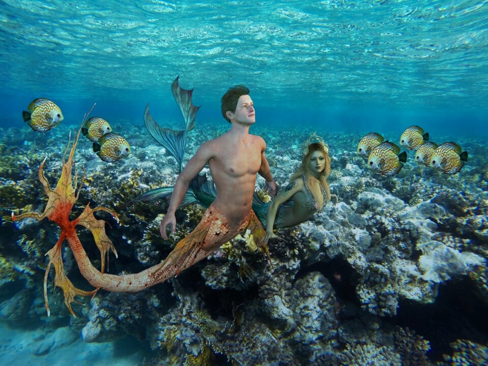 Waters tropical coral