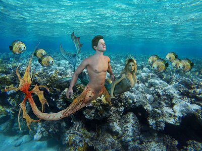 Waters tropical coral