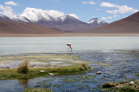 Outdoors lake flamenco