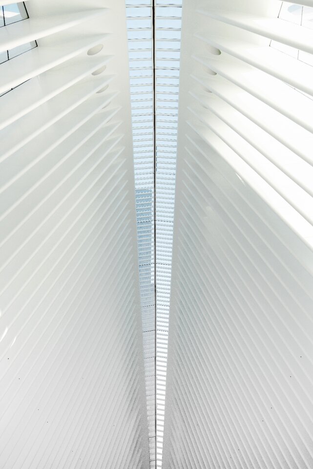 Structure establishment white