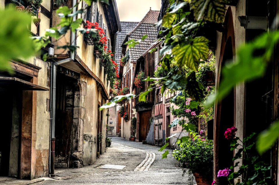Village silent timber-framed